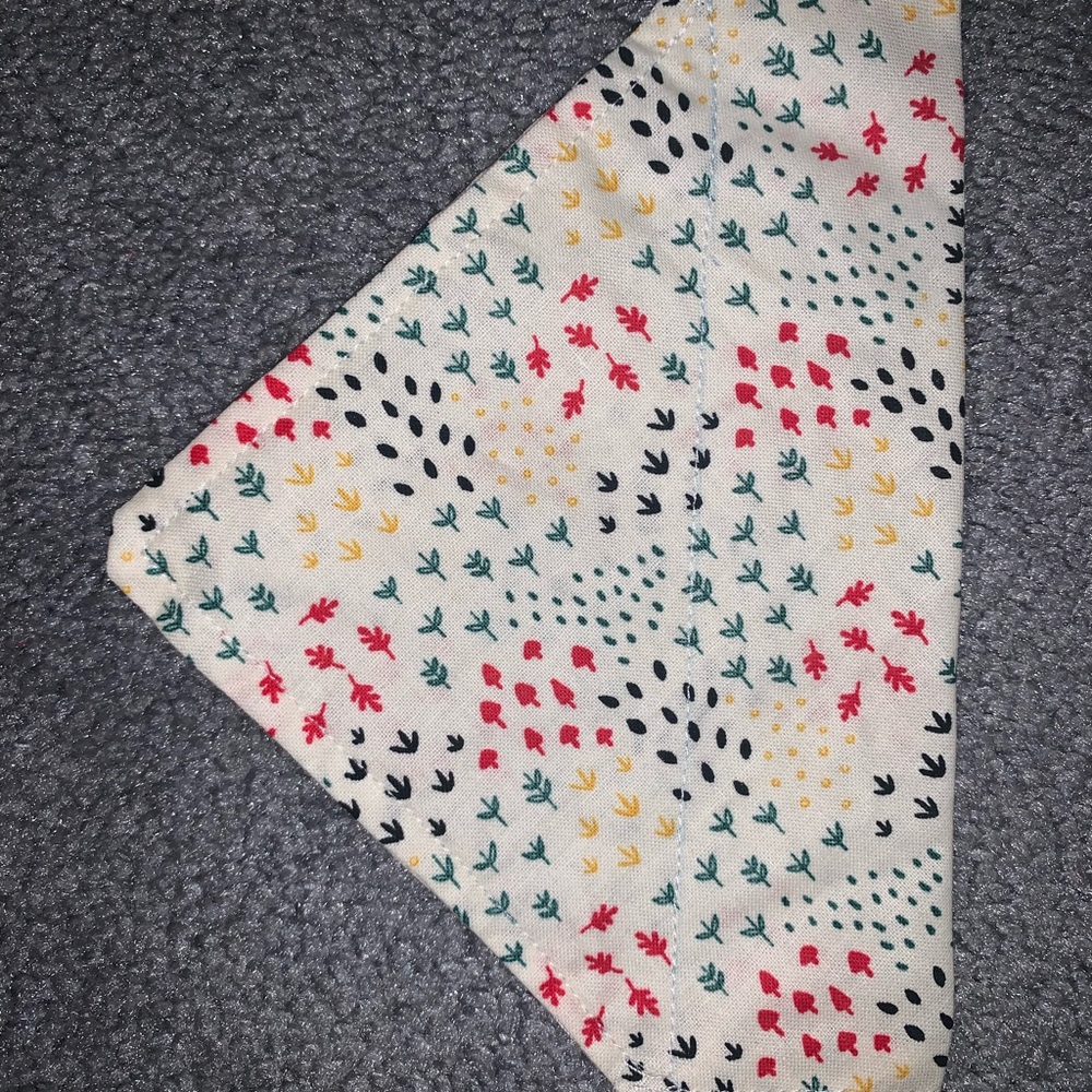 Over the collar bandanna